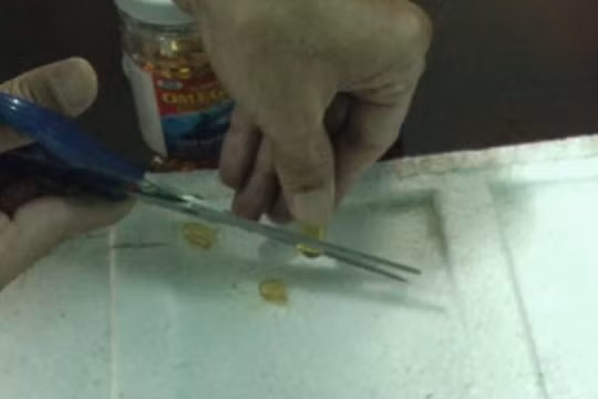 Chi cục ATVSTP tiến hành cắt viên dầu cá thử nghiệm trên miếng xốp - Ảnh: T.M