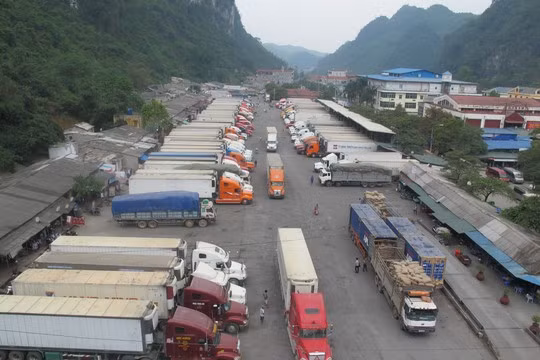 Việt Nam xuất sang Trung Quốc nông sản là chủ yếu