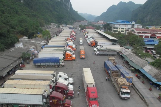 Việt Nam xuất sang Trung Quốc nông sản là chủ yếu