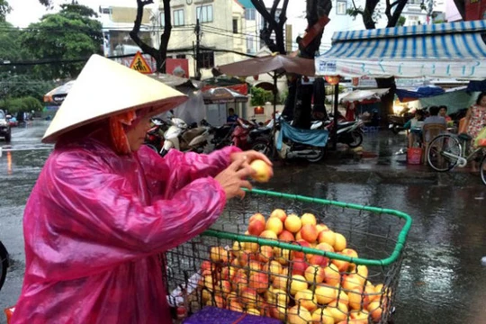 Trái đào có xuất xứ từ Trung Quốc được bày bán tại chợ Nguyễn Tri Phương (TP.HCM) - Ảnh: DŨNG TUẤN