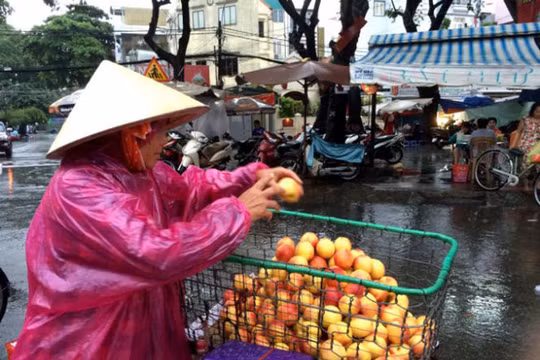 Trái đào có xuất xứ từ Trung Quốc được bày bán tại chợ Nguyễn Tri Phương (TP.HCM) - Ảnh: DŨNG TUẤN