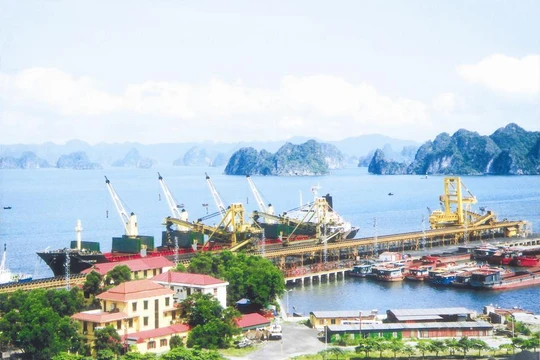 Đến lượt cảng Quảng Ninh được Vinalines rao bán