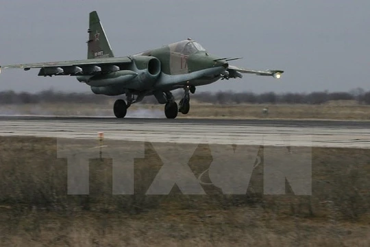 Máy bay Su-25 của không quân Nga. (Ảnh minh họa. Nguồn: AFP/TTXVN)