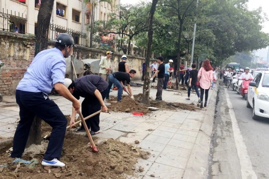 Cây xanh trên đường Nguyễn Chí Thanh bị chặt hạ để trồng cây mới hồi tháng 3-2015