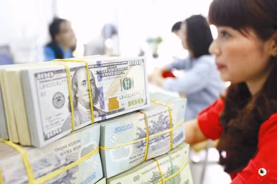 Khi tỷ giá biến động, cơ quan quản lý đã không có hành động thích hợp để củng cố niềm tin cho thị trường.