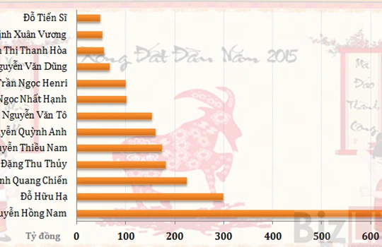 Tài sản của các đại gia tuổi Mùi giàu nhất sàn chứng khoán (Đơn vị: Tỷ đồng)