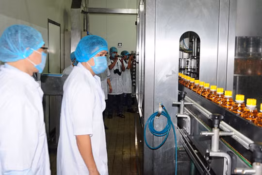 Một dây chuyền sản xuất của công ty Tân Hiệp Phát