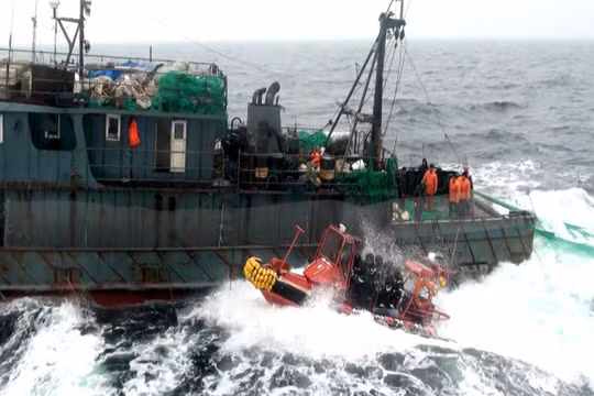 Tàu tuần tra Hàn Quốc truy đuổi tàu cá Trung Quốc đánh bắt trái phép ở biển Tây - Ảnh: Yonhap