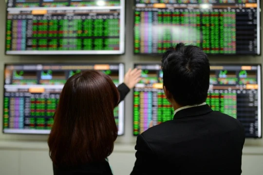 Nhà đầu tư cá nhân trong nước tiếp tục đổ xô vào chứng khoán (Nguồn: Internet)