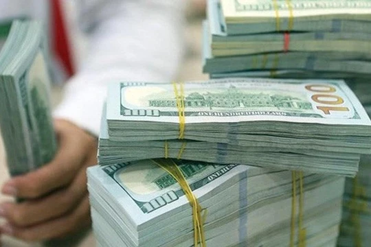 Hàm ý gì đằng sau việc điều chỉnh phương án mua ngoại tệ của Ngân hàng Nhà nước?