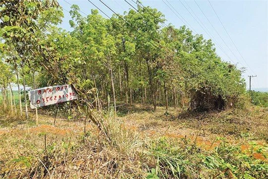 Làm sao cắt cơn sốt đất?