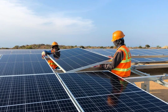 Riêng trong năm 2020, T&T Group đã đưa vào vận hành 4 nhà máy điện mặt trời với tổng công suất 245 MW (Nguồn: T&T Group)