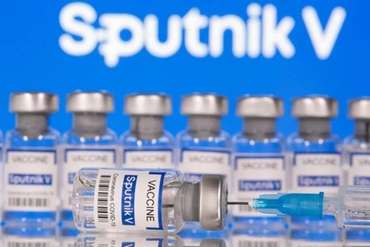 Vimedimex vay hạn mức tín dụng hơn 98 triệu USD để nhập khẩu vaccine Hayat-Vax và Sputnik-V (Ảnh: Internet)