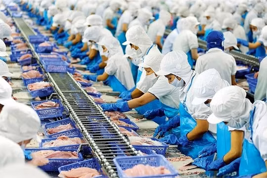 Vĩnh Hoàn (VHC) đặt kế hoạch lợi nhuận năm 2021 giảm 2,6% so với cùng kỳ