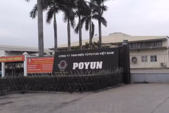 Poyun Việt Nam chuyên sản xuất linh kiện của loa và các thiết bị âm thanh (Nguồn: Internet)