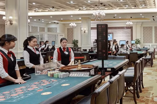 CTCP Quốc tế Hoàng Gia là chủ sở hữu khách sạn Royal Hạ Long, đồng thời là đơn vị vận hành casino duy nhất tại Quảng Ninh (Nguồn: RIC)