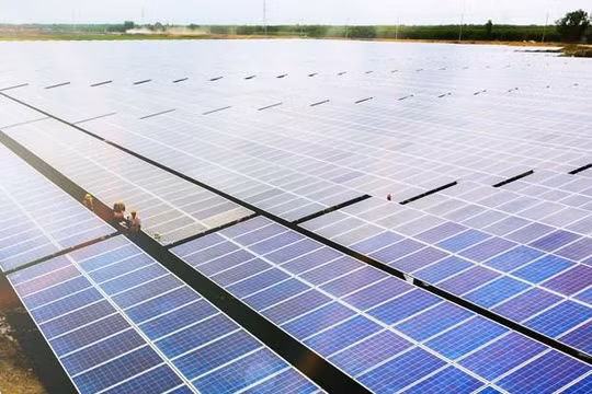 Dự án Nhà máy năng lượng mặt trời Phù Mỹ (Nguồn: BCG)