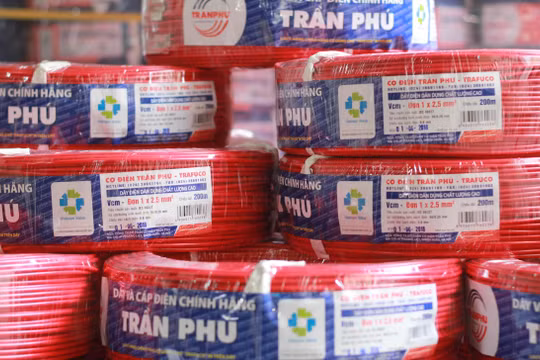 Sản phẩm dây cáp điện của Trần Phú Cable (Nguồn: Trần Phú Cable)