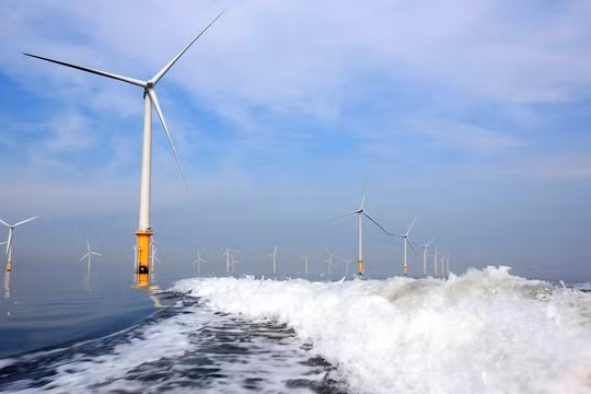 BCG Energy huy động 1.000 tỉ đồng đầu tư vào dự án điện gió hơn 5.500 tỉ đồng ở Cà Mau (Ảnh: Internet)