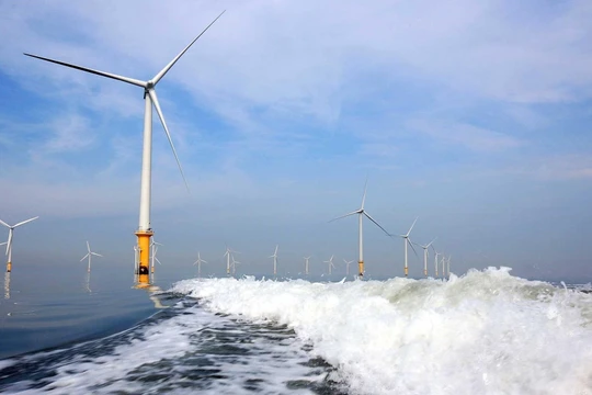 BCG Energy huy động 1.000 tỉ đồng đầu tư vào dự án điện gió hơn 5.500 tỉ đồng ở Cà Mau (Ảnh: Internet)