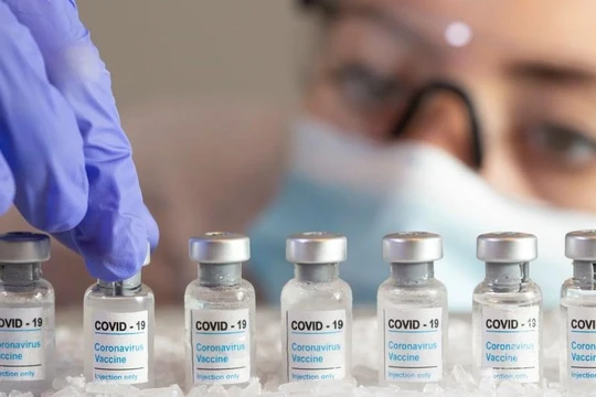Vaccine Covid-19 (Nguồn: Reuters)