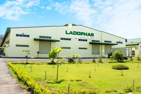 LDP đang có 8 phiên tăng trần liên tiếp, chốt phiên ngày 2/12 ở mức 29.500 đồng/cp