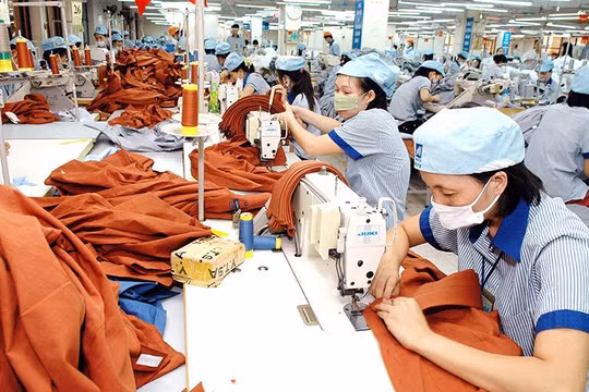 Hiện có khoảng 50% nhà máy dệt may được đặt tại khu vực phía Nam (Ảnh minh họa - Nguồn: Internet)