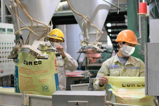 Dây chuyền sản xuất thức ăn chăn nuôi của MNS Feed (Nguồn: Masan MeatLife)