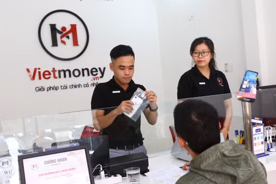 Năm 2020, khoản lỗ của Vietmoney ăn vào phần vốn đầu tư của Digiworld gần 213 triệu đồng (Nguồn: vietmoney.vn)