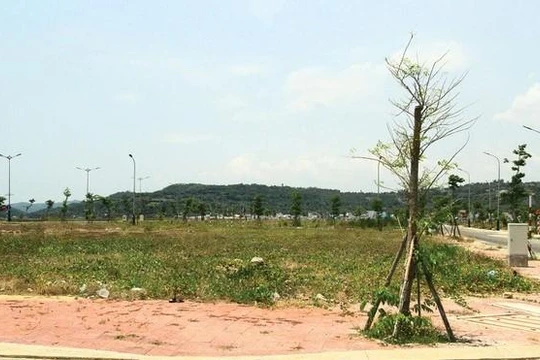 Đất nền tỉnh lẻ đang được nhiều nhà đầu tư quan tâm. Ảnh: Thành Nguyễn