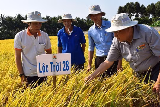 LTG lên kế hoạch lãi ròng 400 tỉ đồng năm 2021