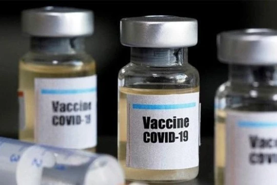 Loạt cổ phiếu dược tăng trần vì được phép nhập vaccine Covid-19