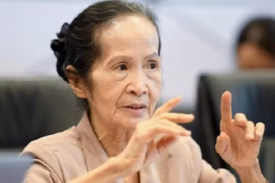 Chuyên gia kinh tế Phạm Chi Lan