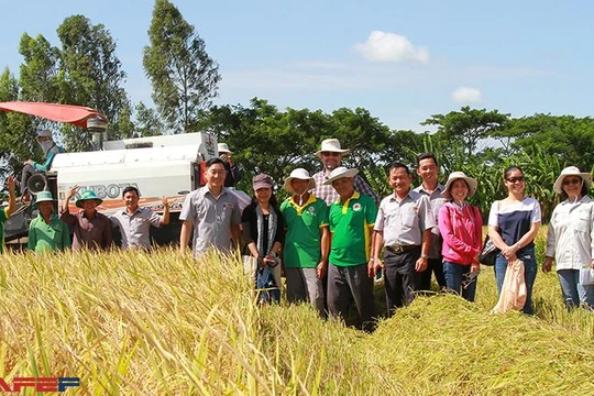 Lộc Trời: Đằng sau sự chấm dứt với Syngenta và mô hình nhà máy 1 triệu ha sản xuất ‘Just in time’