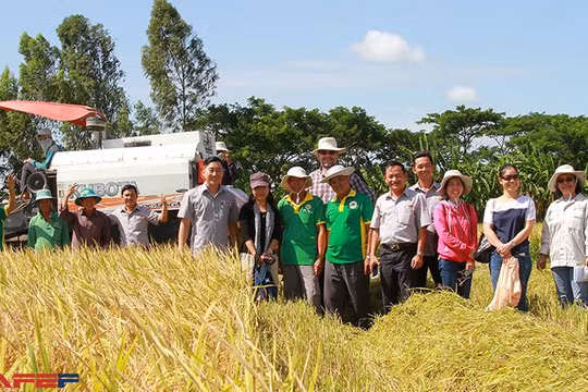 Lộc Trời: Đằng sau sự chấm dứt với Syngenta và mô hình nhà máy 1 triệu ha sản xuất ‘Just in time’