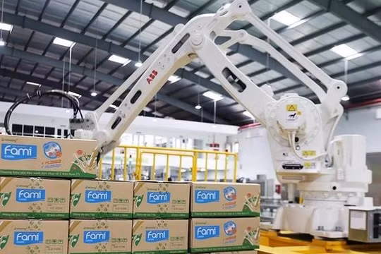 Thị phần sữa đậu nành của QNS đã tăng lên 91% trong tháng 8/2021 (Ảnh: Internet)