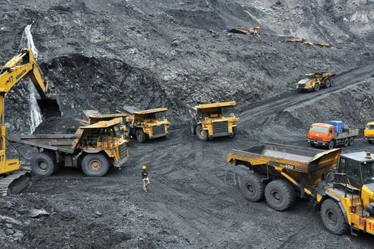 Đại gia lan đột biến kiếm trăm tỉ đồng từ khai thác than lậu