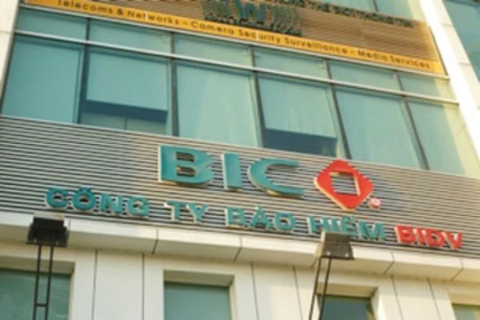 Bảo hiểm BIDV (BIC) có Tân chủ tịch HĐQT