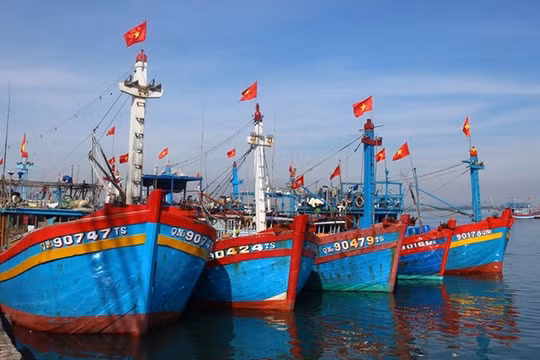 Ngân hàng đang có quá vô tình khi không cho ngư dân vay vốn trong thời điểm này?