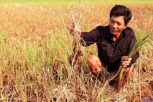 Người dân vùng ĐBSCL chống chọi với hạn hán và xâm nhập mặn