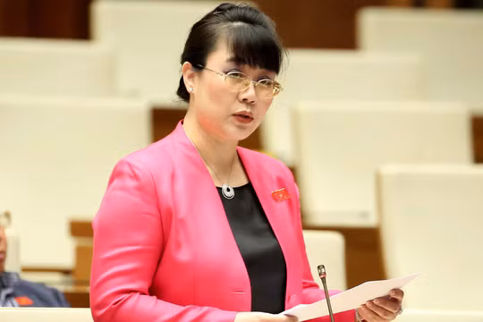 Bà Hường là đại biểu Quốc hội hai khoá 12 và 13 và là một trong 17 doanh nhân trúng cử đại biểu Quốc hội khoá 14