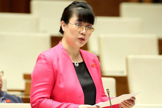 Bà Hường là đại biểu Quốc hội hai khoá 12 và 13 và là một trong 17 doanh nhân trúng cử đại biểu Quốc hội khoá 14