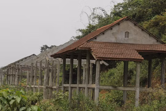 Khu tái định cư Kẻ Tắt 'đắp chiếu', dân mòn mỏi chờ