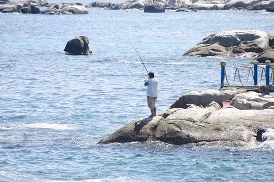 Bãi biển Cà Ná, tỉnh Ninh Thuận. Ảnh: diadiemdulich.com