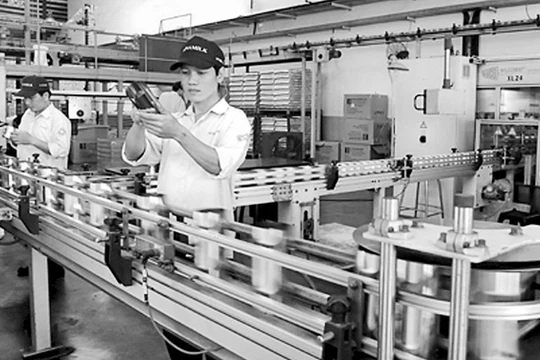 Các Bộ chưa thực sự quyết tâm trong việc tái cơ cấu DNNN?