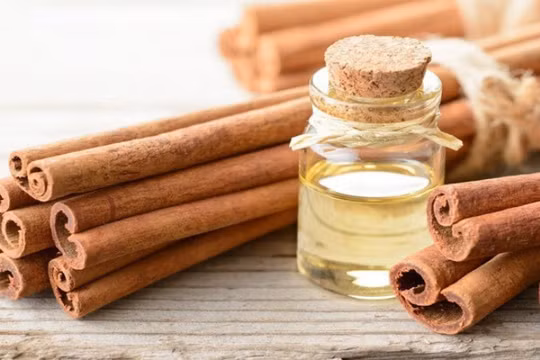 HTC Holding hoạt động chính trong lĩnh vực sản xuất, kinh doanh tinh dầu quế