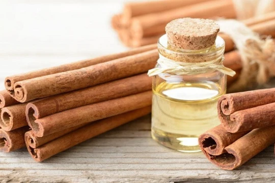 HTC Holding hoạt động chính trong lĩnh vực sản xuất, kinh doanh tinh dầu quế