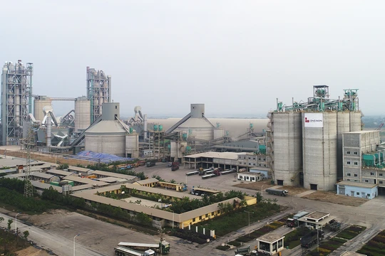 Phía sau Long Sơn Phù Mỹ - chủ đầu tư dự án gang thép 53.500 tỉ đồng ở Bình Định