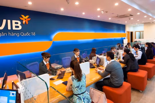 Con trai ông Đặng Khắc Vỹ bán 124,7 triệu cổ phiếu VIB