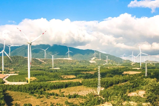 Gelex tái cấu trúc mảng năng lượng tái tạo